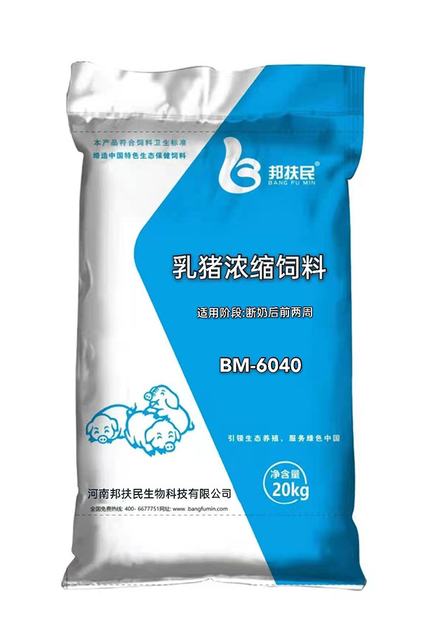 40%乳豬免费看下载小黄片