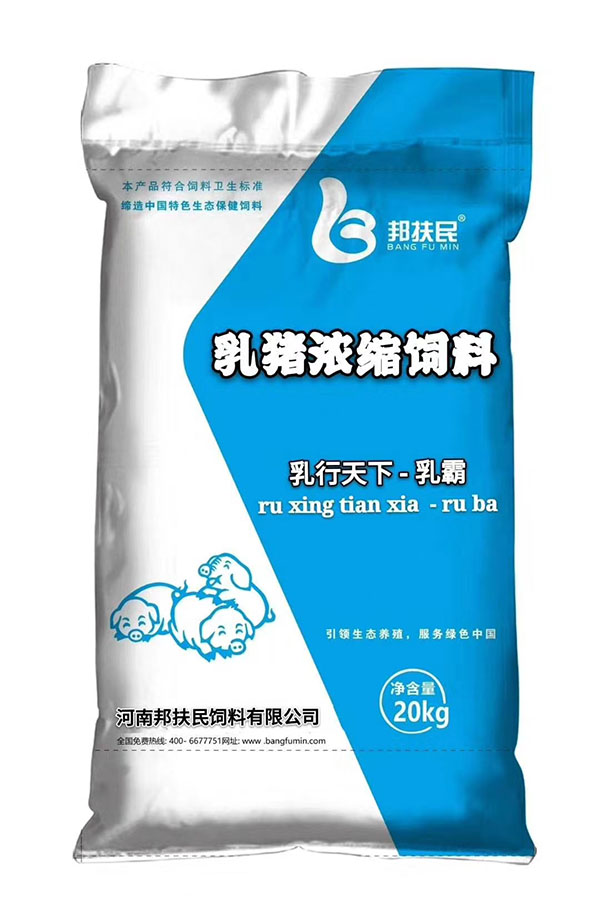 乳豬免费看下载小黄片