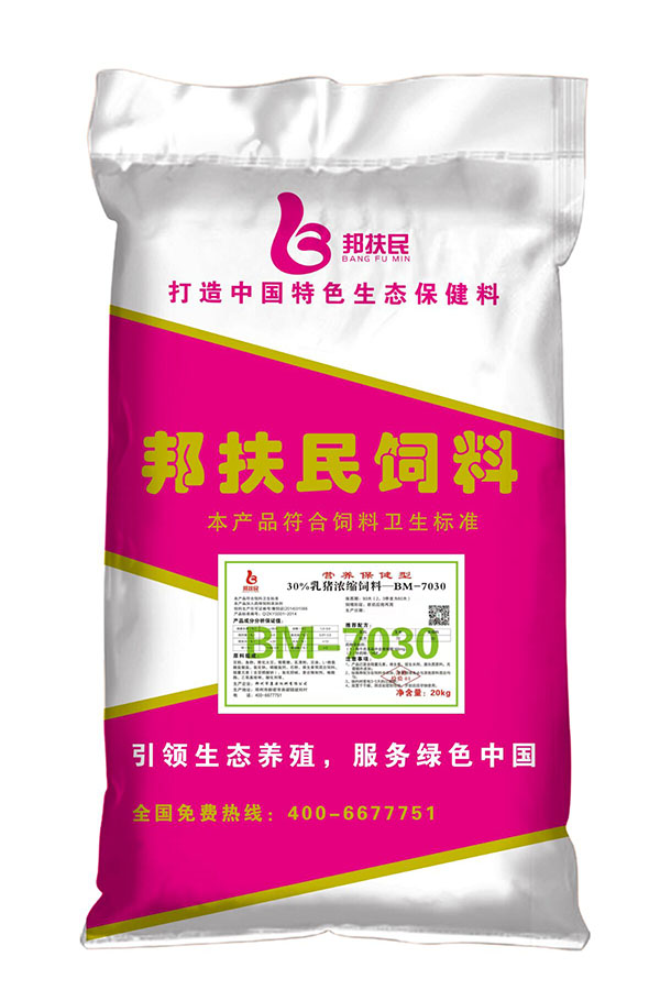 30%乳豬免费看下载小黄片
